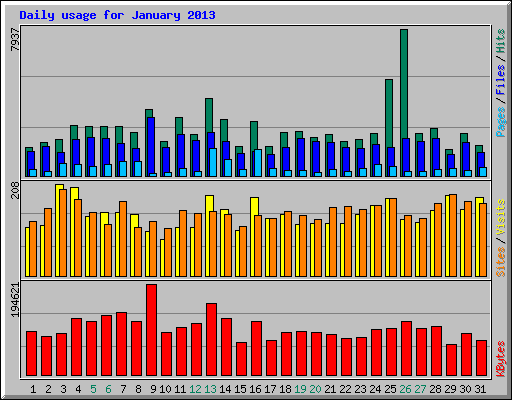 Daily usage for January 2013