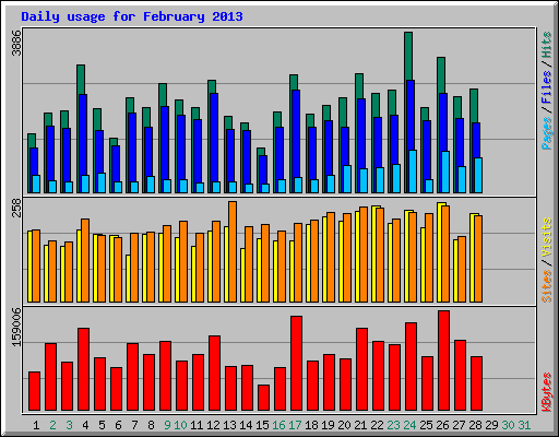 Daily usage for February 2013
