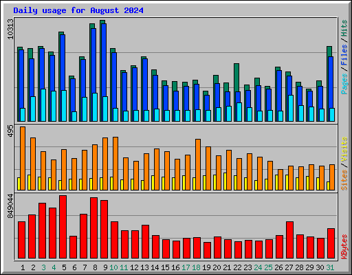 Daily usage for August 2024