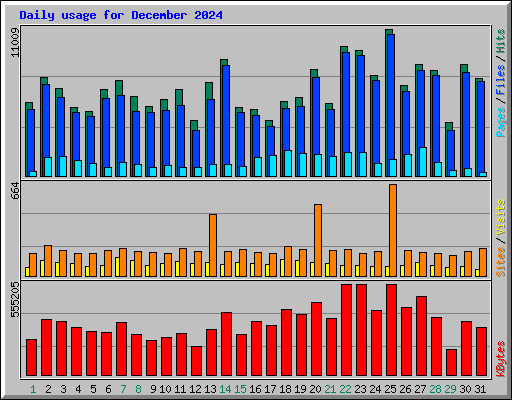 Daily usage for December 2024