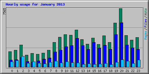 Hourly usage for January 2013