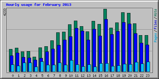 Hourly usage for February 2013