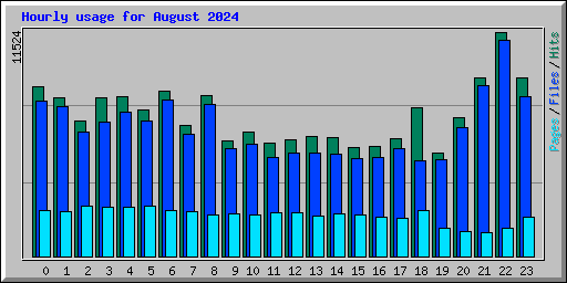 Hourly usage for August 2024