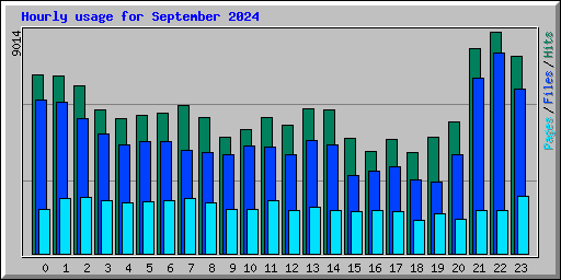 Hourly usage for September 2024