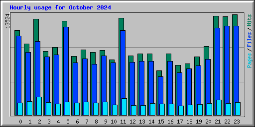 Hourly usage for October 2024