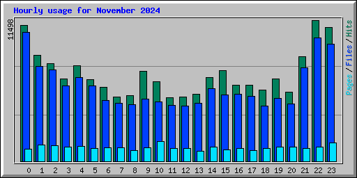 Hourly usage for November 2024