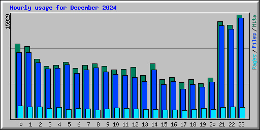 Hourly usage for December 2024