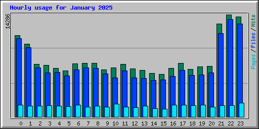 Hourly usage for January 2025