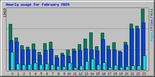 Hourly usage for February 2025