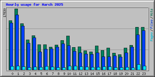 Hourly usage for March 2025