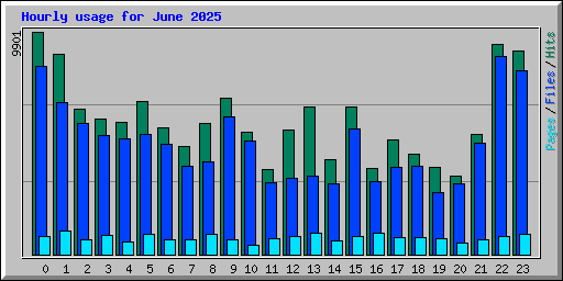 Hourly usage for June 2025