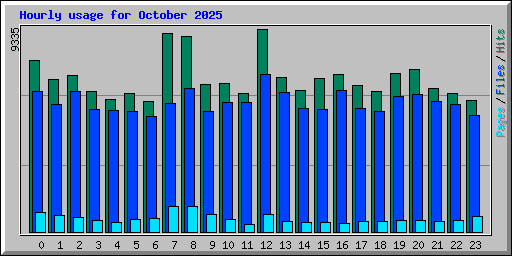 Hourly usage for October 2025